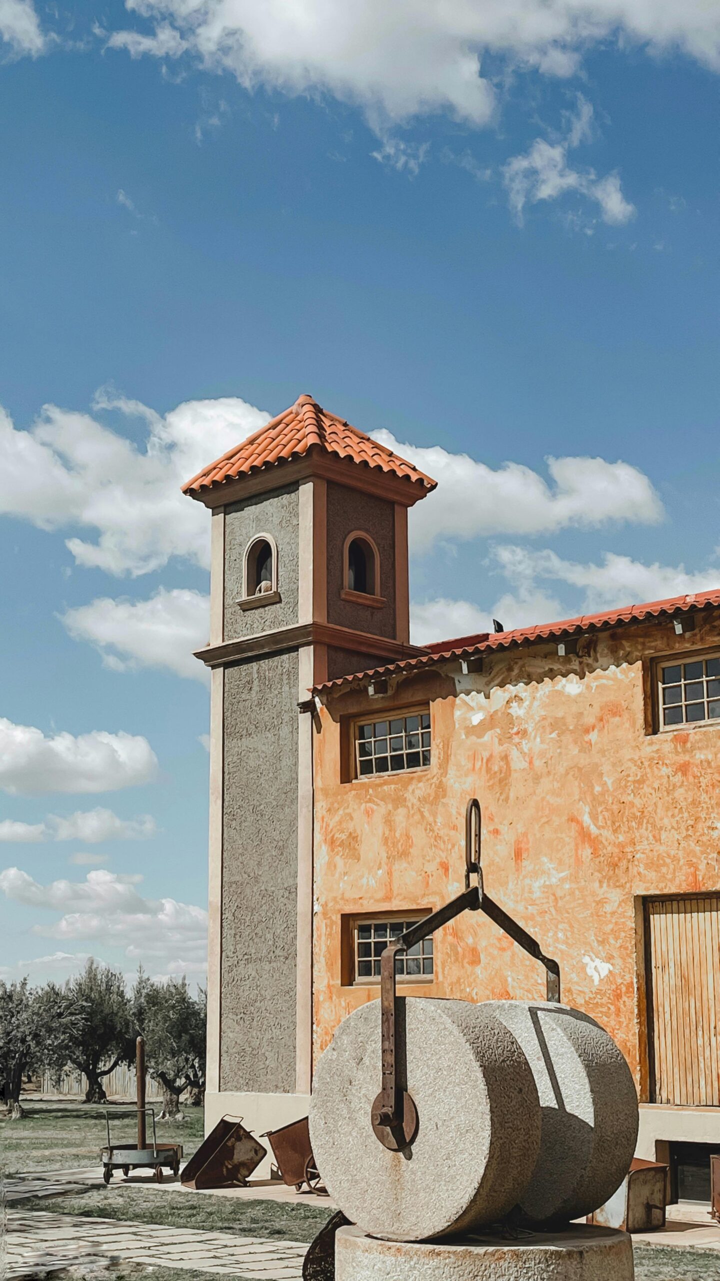 olive oil farm