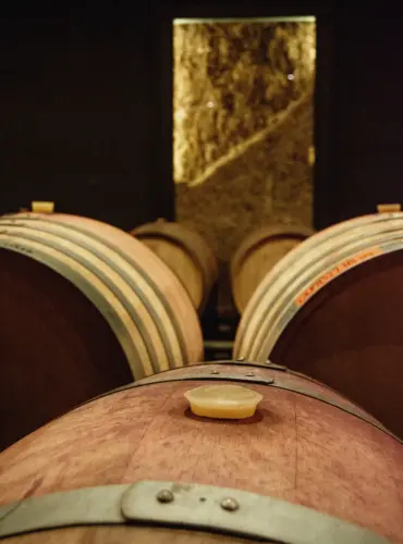 barricas de bodega boutique