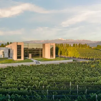 Cobos: 100 points Winery 100 points winery in Mendoza