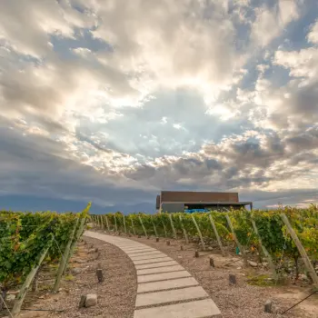 bodega en el valle de uco