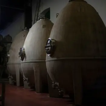 Norton traditional winery